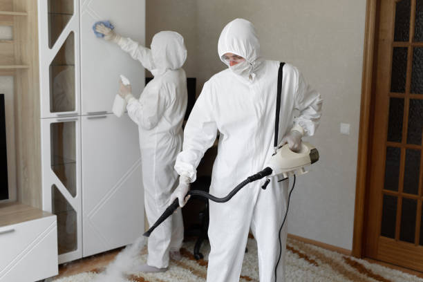 Mold Removal Process in Sauk Centre, MN